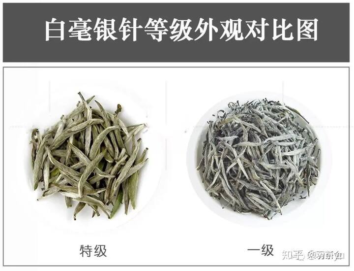 最贵的白茶价格表大全_白茶最贵的多少钱一斤？