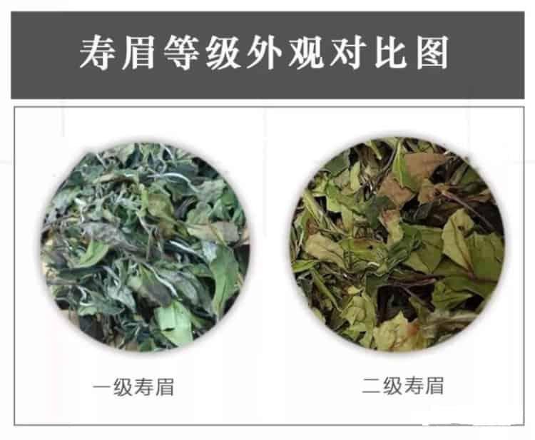 白茶有几个等级？（白茶分类等级详细介绍）