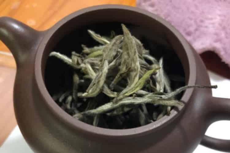 白茶到底护肝还是伤肝_喝茶叶护肝吗？