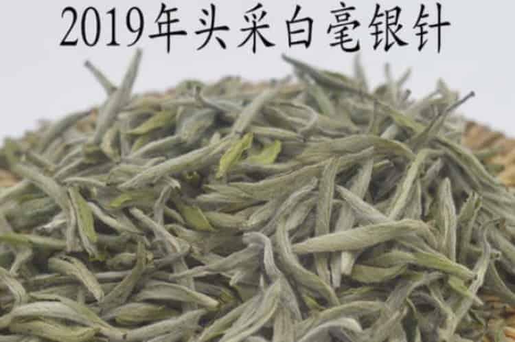 白茶新茶什么时候上市_2020年新茶白茶几月份上市？