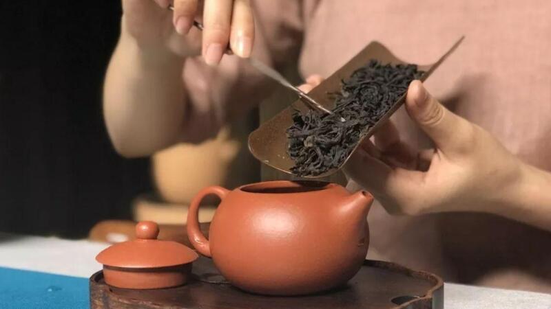 紫砂壶泡什么茶最好