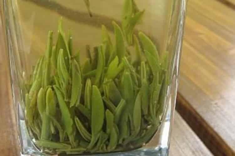 竹叶青茶多少钱一斤_竹叶青茶的价格