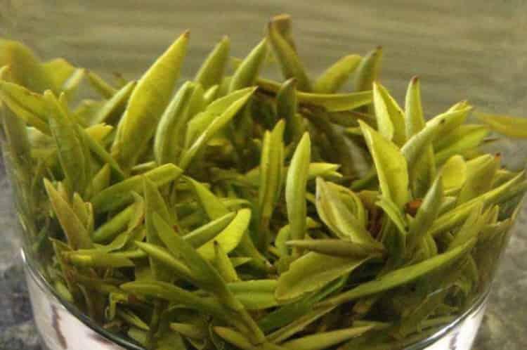 顾渚紫笋茶是什么烘青吗_长兴紫笋茶属于什么茶？