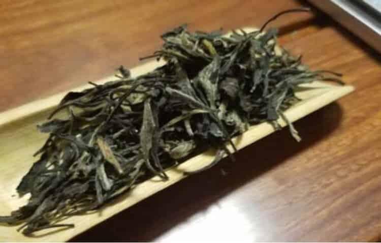 中国青茶主要品种盘点，凤凰水仙上榜