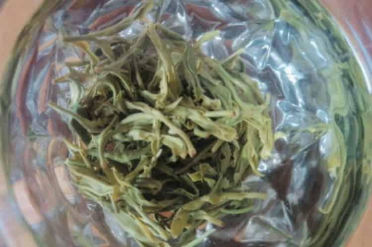 10亩茶叶利润有多少_种植茶叶一亩收入多少