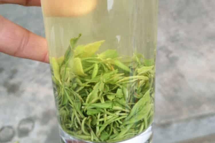 山东名茶十大名茶之首_山东茶叶排行榜