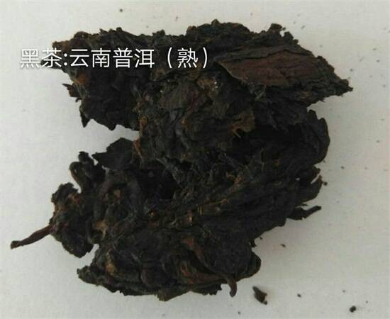 20种茶叶看图认茶叶种类图片对照