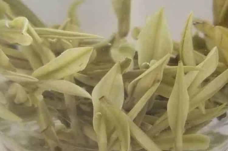 坐享仙茗是什么仙茗什么意思？