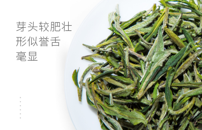 黄大茶和黄小茶的区别