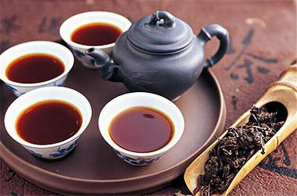 从香气口感营养价值等带你走进黑茶的人生！