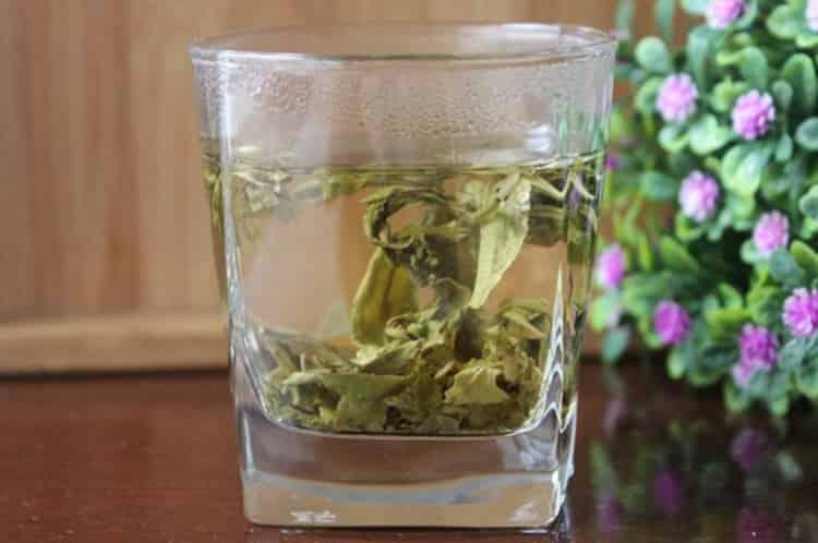 茉莉龙珠一次泡几颗_茉莉龙珠一一杯放几颗