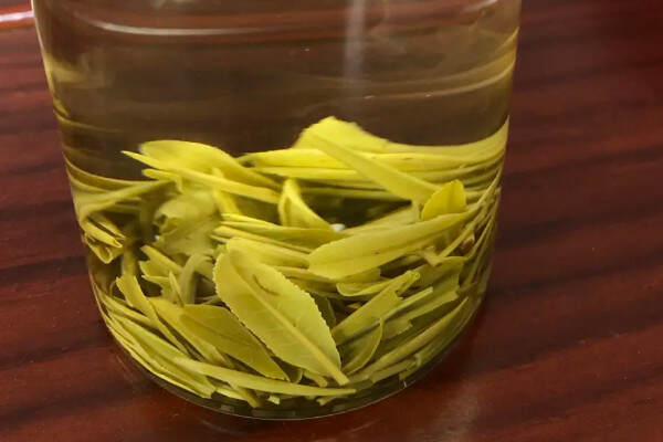霍山黄芽属于什么茶类？霍山黄芽属于黄茶吗？