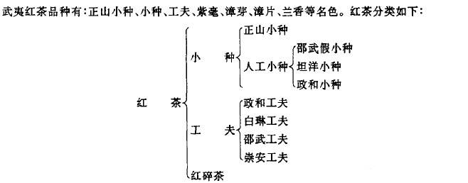 川宁红茶什么档次_川宁茶怎么样？