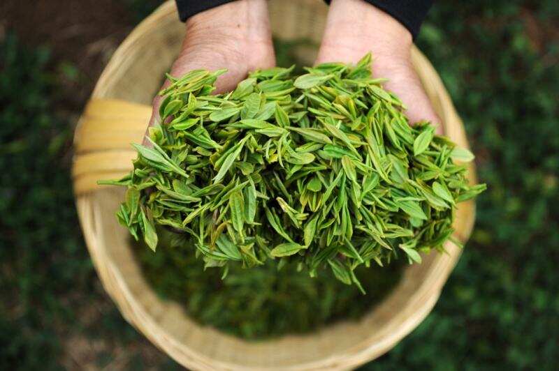 【茶常识】喝春茶，茶点搭配有窍门 什么是茶点？