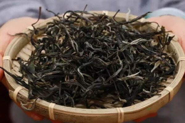 曼松古树茶是哪里的产地_曼松古树茶是哪个茶区