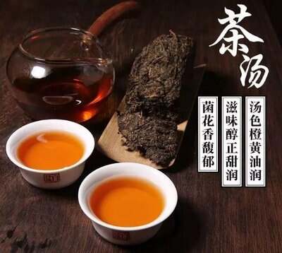 泾阳茯茶要洗茶吗？