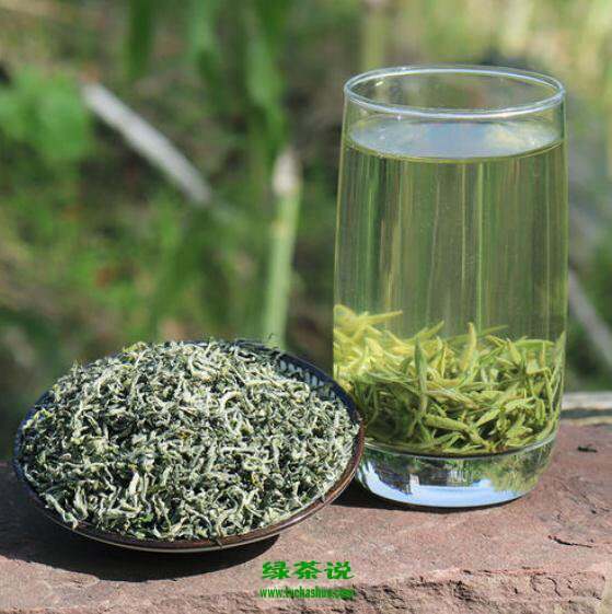 【茶功效】蒙顶甘露的功效与作用 喝蒙顶甘露的好处