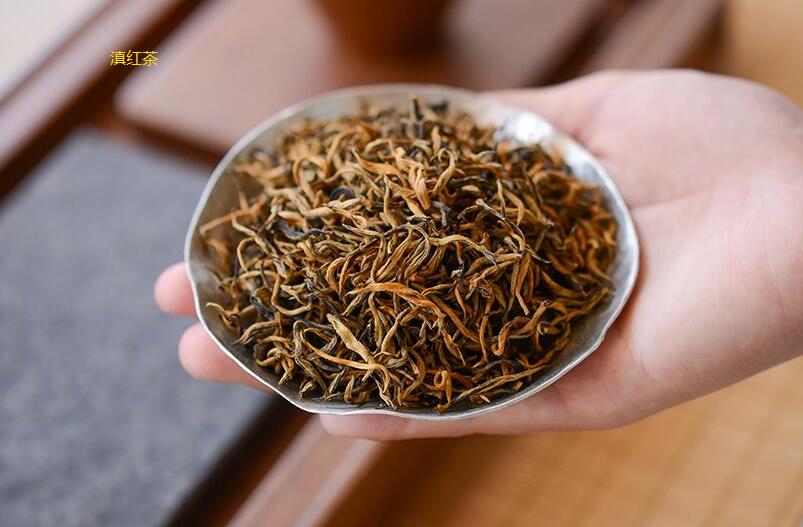 六大茶类中的红茶种类都有哪些？