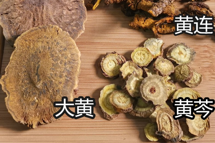 大黄茶的功效与作用及食用方法