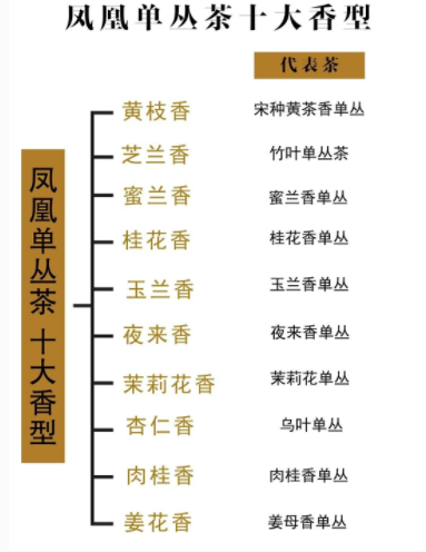 凤凰单丛茶十大香型详解大全