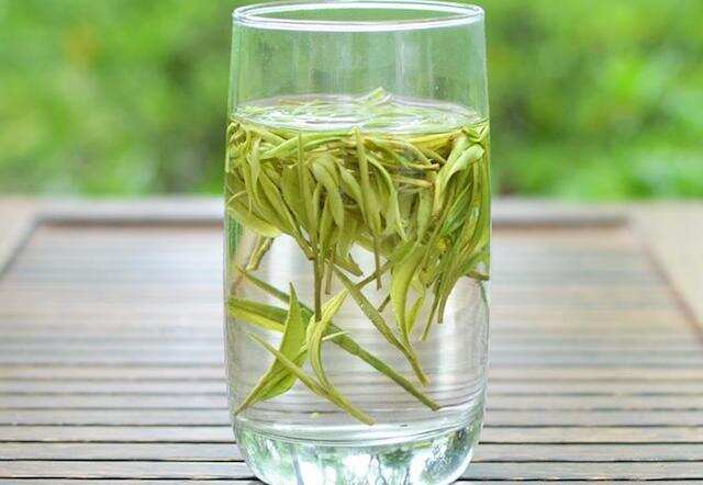 安吉白茶究竟是白茶还是绿茶
