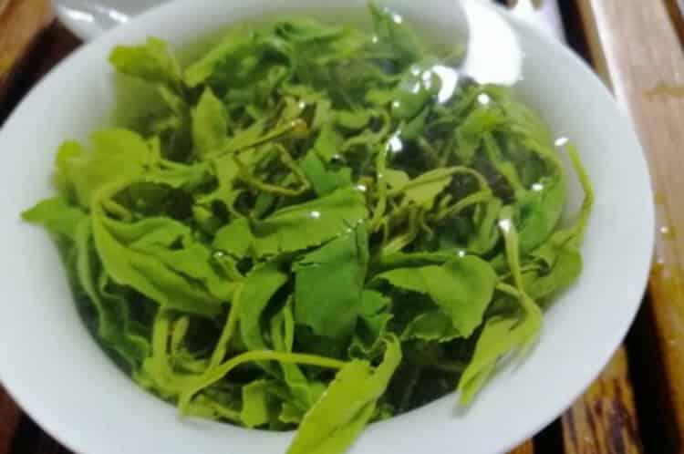 茶多酚一天摄入量_茶多酚用法与用量