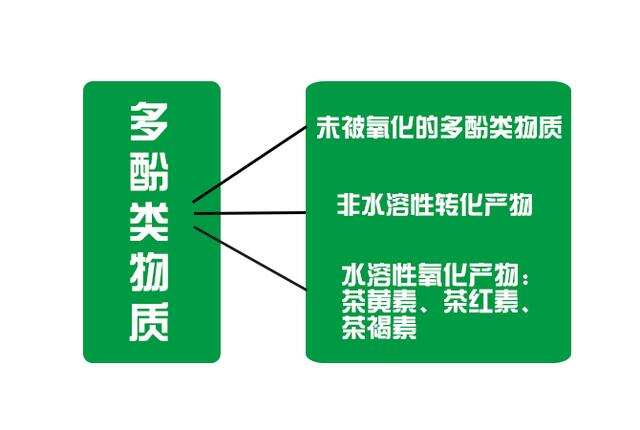 红茶品质因为他们，你竟然不知道？