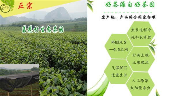 正宗英德红茶品牌—荔花村英德红茶！