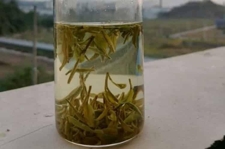 古代好听的茶名_好听的古风茶名字