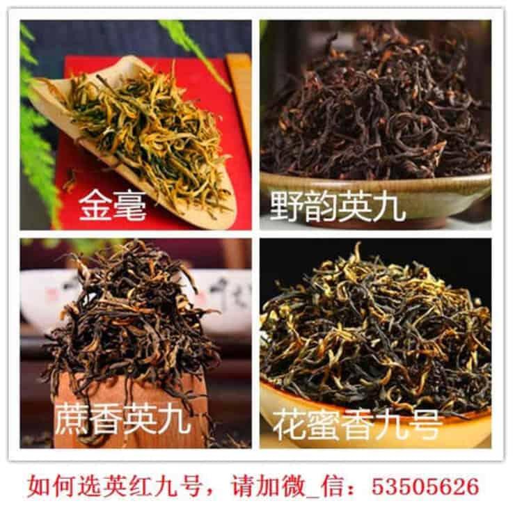 英红九号红茶价格！