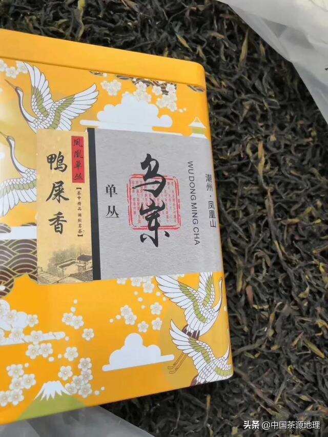 凤凰单丛鸭屎香（到底是什么香？）