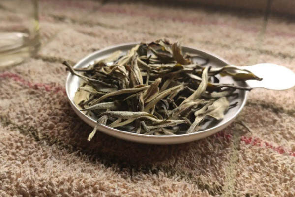 白茶是绿茶还是乌龙白茶是什么茶？