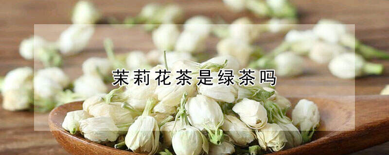 茉莉花茶是绿茶吗？