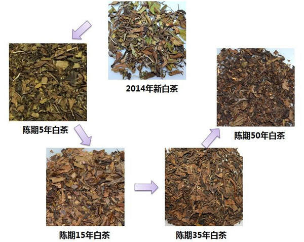 白茶做成饼茶的工艺流程（白茶茶饼制作工艺）