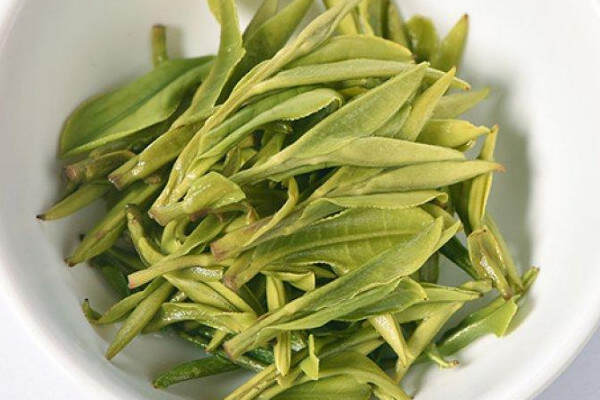 黄山毛峰是绿茶吗？