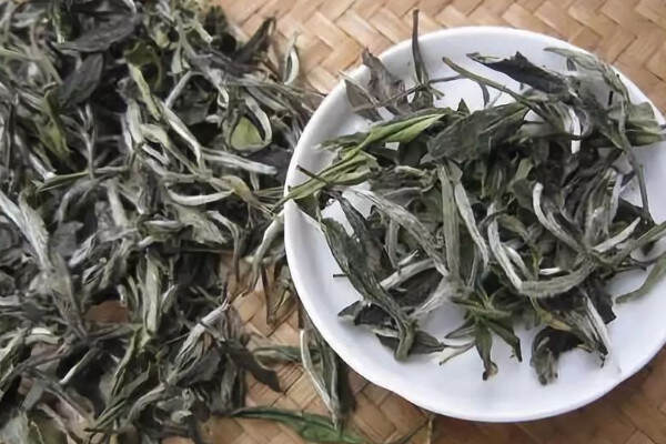 白茶属于红茶还是绿白茶产地是哪里最好