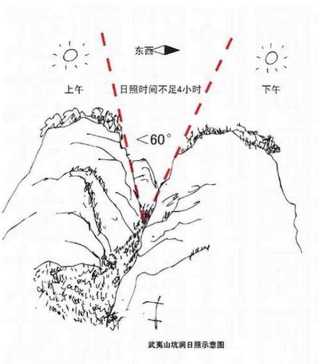 武夷山为什么盛产武夷山茶为什么好喝？