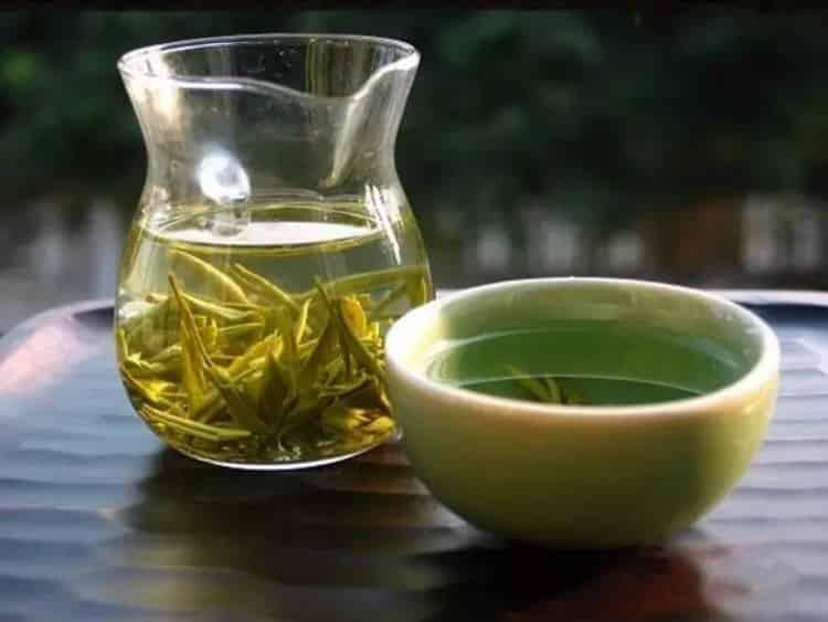 历史名茶——乐昌白毛茶