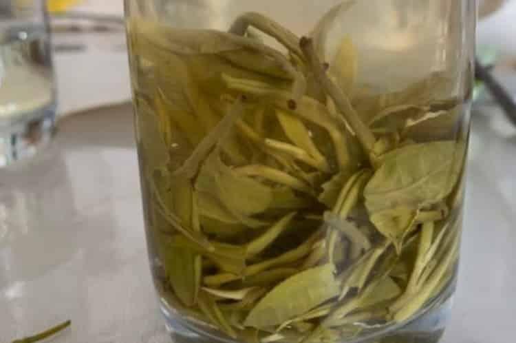 茶诗100首_史上最美的茶诗