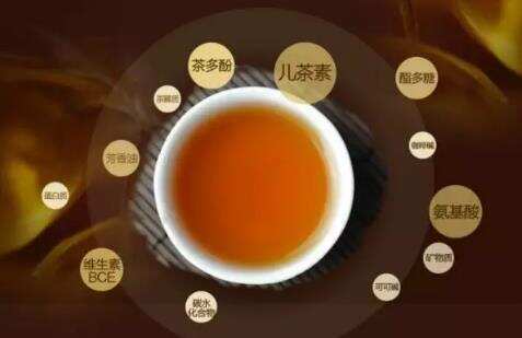 湖南安化黑茶的功效与作用_安化黑茶的九大功效_喝黑茶有什么