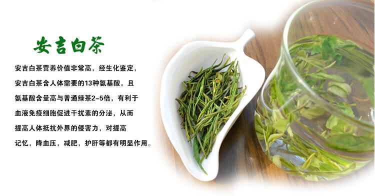 安吉白茶需要洗茶吗？