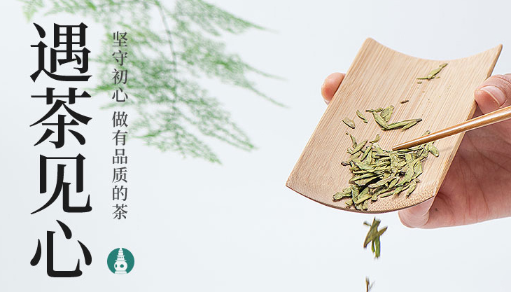 龙井茶几月份最好？３月下旬