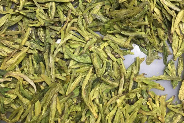 新昌西湖龙井是绿茶吗？新昌西湖龙井属于哪种茶叶