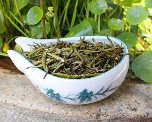 滇绿茶与绿茶的区别