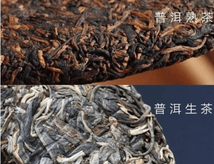 普洱生茶和熟茶的区别