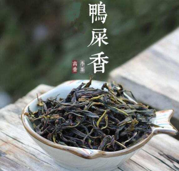 （权威）鸭屎香是什么茶呢？