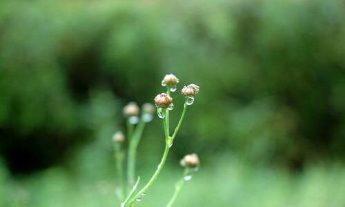 饮茶文化分享，芬芳的茶、温暖的善