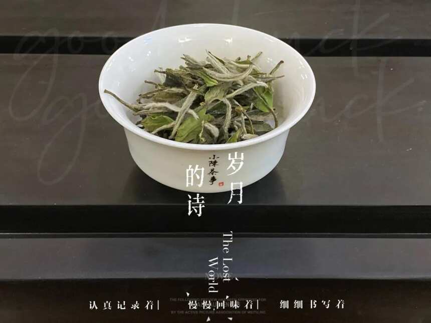 新手喝茶，先别看定制、手绘、限量的，教你配齐3样，便宜又好用