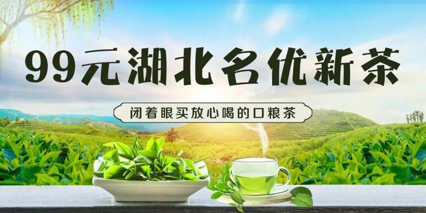 湖北名优茶·健康沿海行｜青砖茶千年醇香沁花城