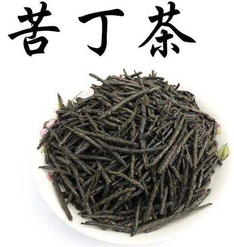 苦丁茶的功效与作用